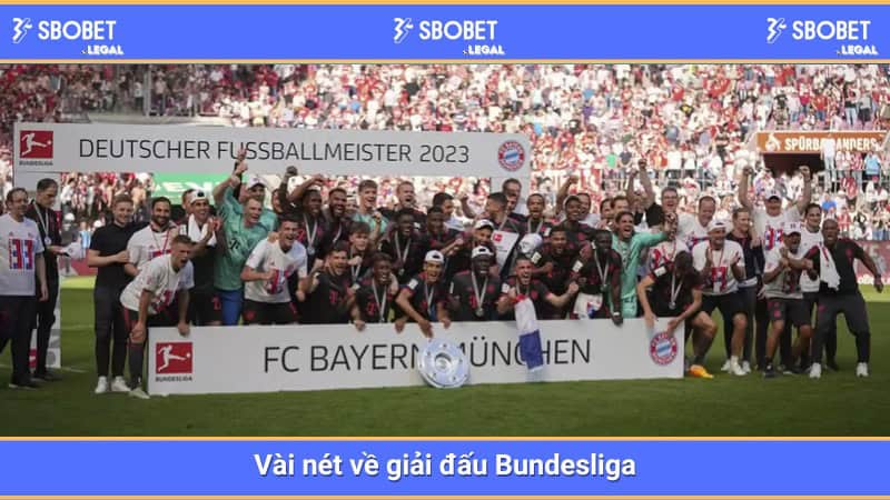 Vài nét về giải đấu Bundesliga