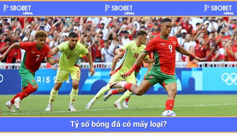 SBOBET: 4 loại tỷ số bóng đá không phải ai cũng biết 2 Tỷ số bóng đá có mấy loại?