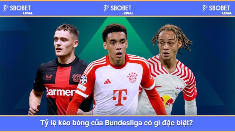 Tỷ lệ kèo bóng của Bundesliga có gì đặc biệt? 