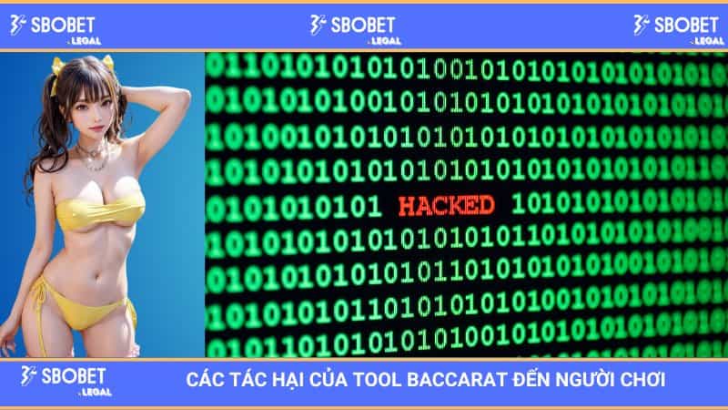 SBOBET Phân tích các tác hại của tool Baccarat đến người chơi 