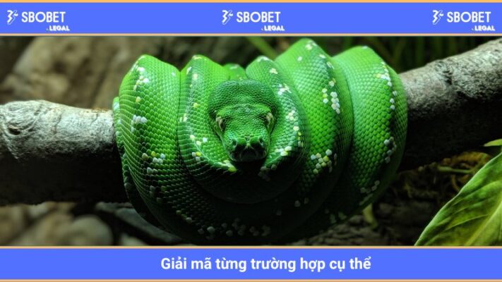 Giải mã từng trường hợp cụ thể