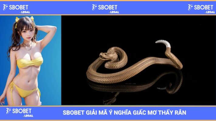 SBOBET Giải Mã Ý Nghĩa Giấc Mơ Thấy Rắn